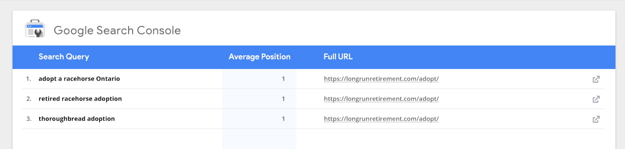 Google Search Console Mockup - Longrun